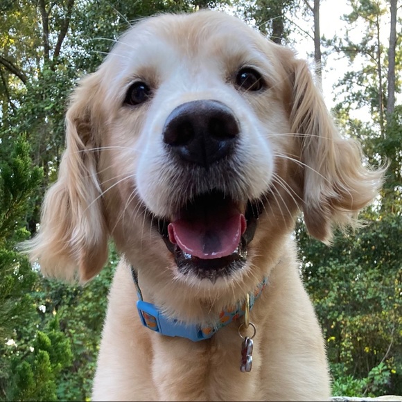 Meet your Posher, Halle - Picture 1 of 1